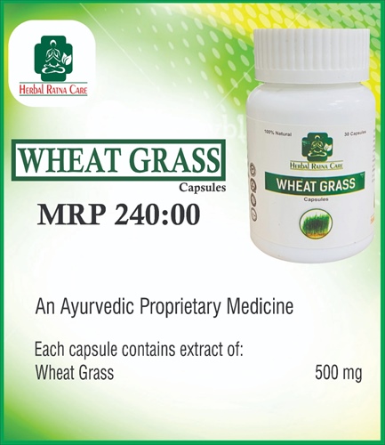 WHEATGRASS